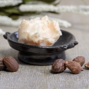 SHEA BUTTER